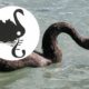 Der Schwarze Schwan, der den Sturm ankündigt, ist er da?
