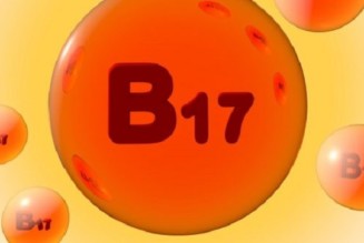 Vitamin B17 wurde verboten, weil es Krebs heilt !