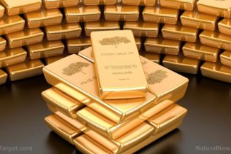 Der Goldpreis wird innerhalb weniger Monate voraussichtlich 3.000 USD pro Unze erreichen – Analyst