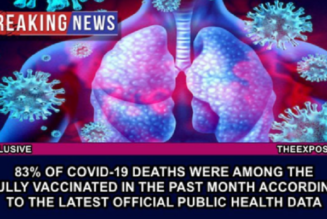 EXKLUSIV – 83 % der Covid-19-Todesfälle gehörten im vergangenen Monat nach den neuesten Daten der öffentlichen Gesundheit zu den vollständig Geimpften