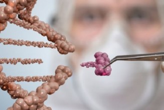 100 Mio. Dollar für genetisches Ausrottungsprogramm: Der Gene Drive kommt