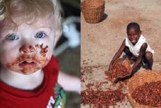 Kin­der­skla­ve­rei für unsere Schokolade