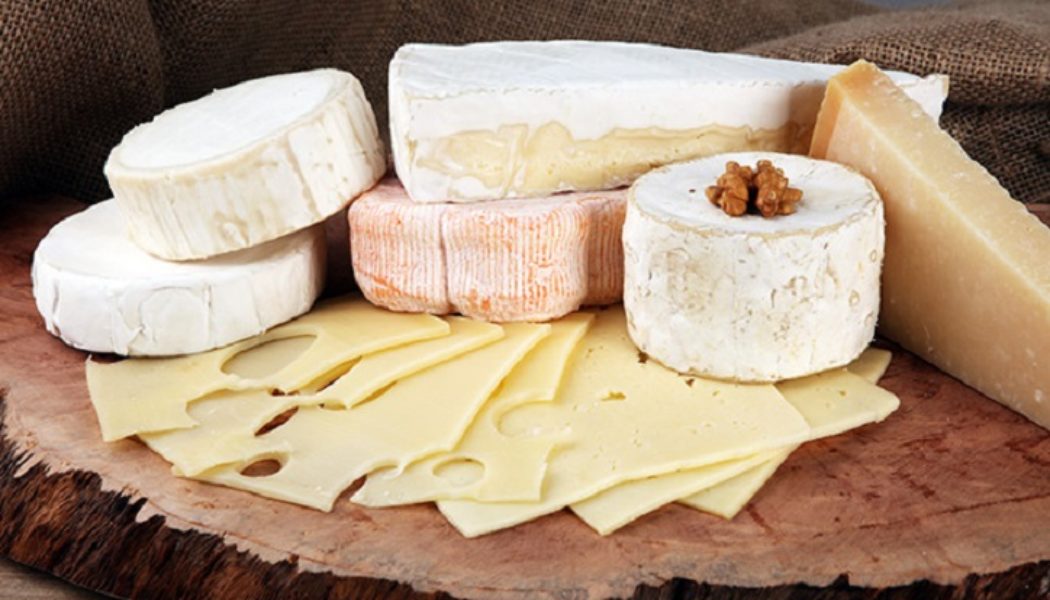 Schweizer Käse enthält ein starkes Probiotikum, das die Langlebigkeit fördert