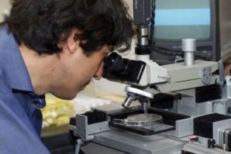 Wissenschaftler Entdecken, Dass Fasten Die Regeneration Von Stammzellen Auslöst Und Krebs Bekämpft