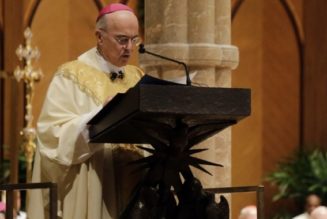 Erzbischof Viganò Kritisiert Papst Wegen Stoßens Von Jabs Mit Material Von Abgetriebenen Föten