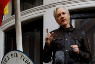 Fall Julian Assange: Hauptzeuge gibt zu, dass er gelogen hat, US-Medien ignorieren entlastende Enthüllungen