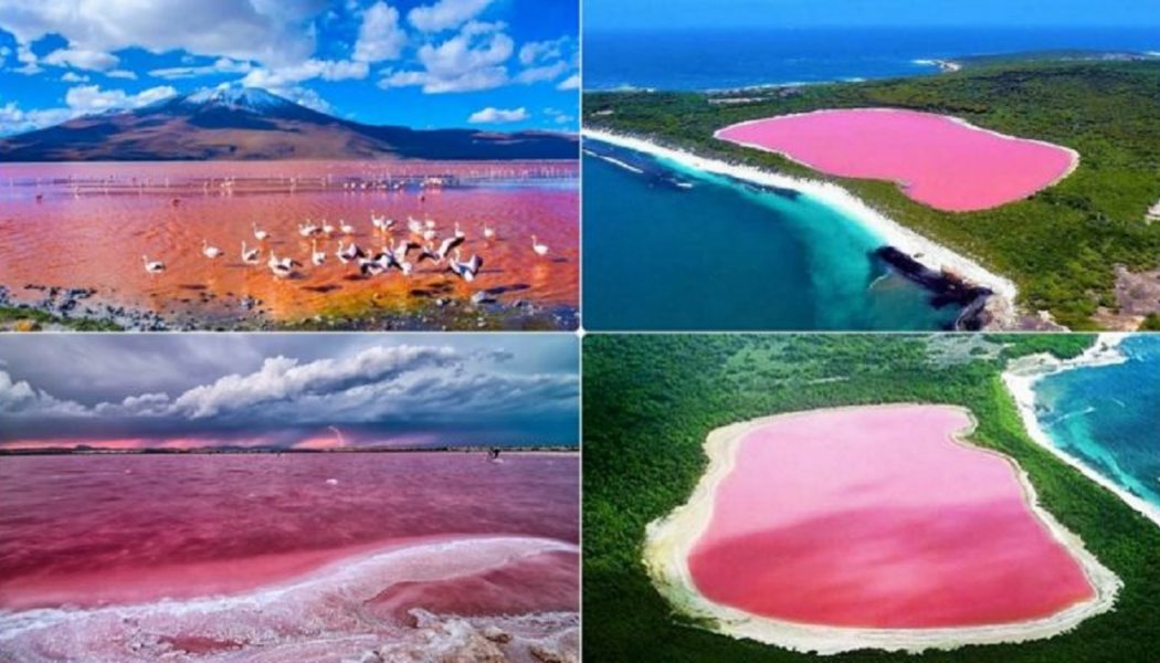 Über einige der schönsten natürlichen rosa Seen der Welt