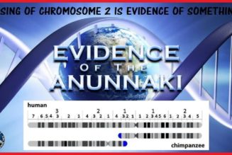 Beweis, Dass Die Menschliche Spezies Von Anunnaki Aliens Gentechnisch Verändert Wurde