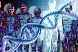 Die Entstehung Des Homo Sapiens Und Unsere Außerirdische DNA
