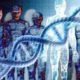 Die Entstehung Des Homo Sapiens Und Unsere Außerirdische DNA