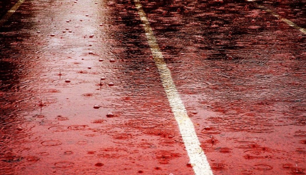 In Bamberg Straße plötzlich mit Blut überschwemmt – schauriger Einsatz für die Feuerwehr