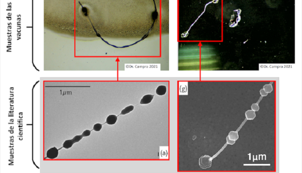 Neue Beweise für geperlte Kohlenstoff-Nanoröhren auf der Basis von flüssigen Graphenperlen und polykristallinem Graphit