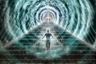 Reinkarnation, Universelles Bewusstsein Und Die Holographische Seele