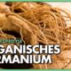 Organisches Germanium – das grosse Missverständnis