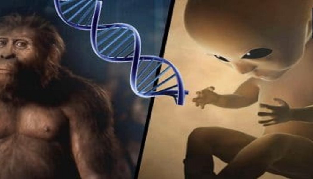 Außerirdische haben uns genetisch erschaffen: Überwältigende Beweise