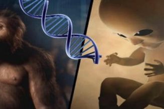 Außerirdische haben uns genetisch erschaffen: Überwältigende Beweise