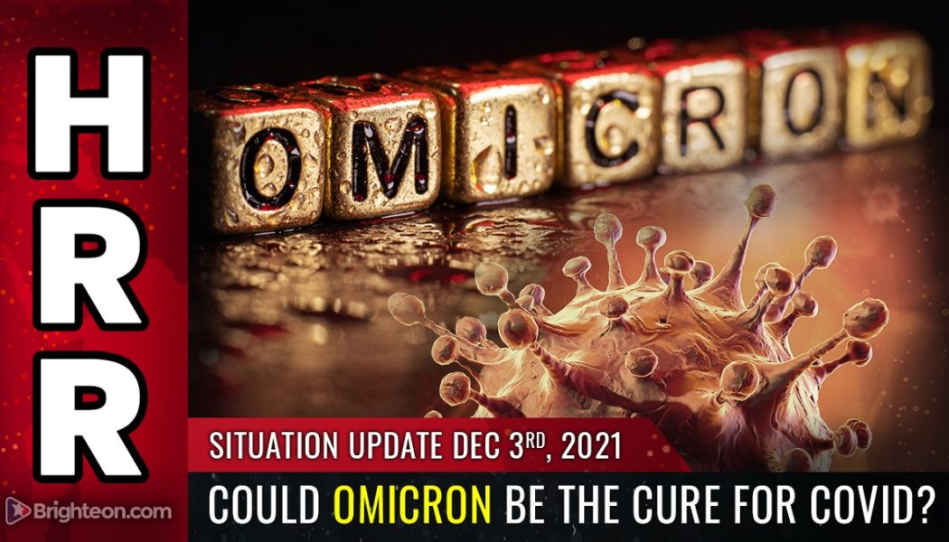 BOMBSHELL: Könnte OMICRON das Heilmittel für Covid sein? Hochansteckender Stamm mit „milden“ Symptomen könnte weltweit natürliche Immunität liefern und Impfstoffe obsolet machen