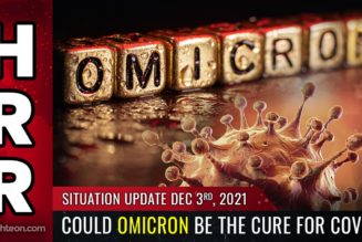 BOMBSHELL: Könnte OMICRON das Heilmittel für Covid sein? Hochansteckender Stamm mit „milden“ Symptomen könnte weltweit natürliche Immunität liefern und Impfstoffe obsolet machen