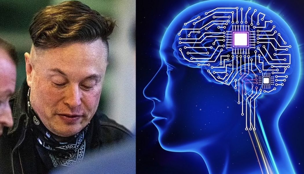 Elon Musk hofft, im nächsten Jahr mit dem Einbringen von Gehirnchips in Menschen beginnen zu können