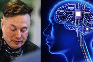 Elon Musk hofft, im nächsten Jahr mit dem Einbringen von Gehirnchips in Menschen beginnen zu können