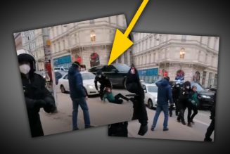 Demo Wien: Polizei trennt Kind von Vater und wirft es mit Gewalt zu Boden