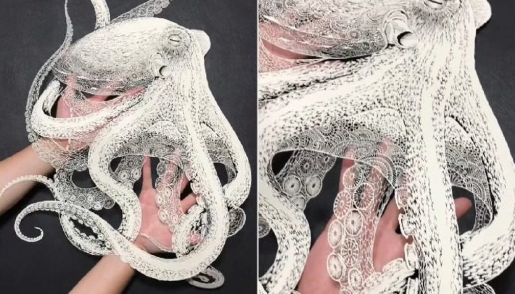 Mit nur einem Blatt Papier bringt ein japanischer Künstler einen Oktopus ins „echte Leben“