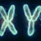 Das Y-Chromosom Wird Abgebaut. Werden Die Männer Bald Verschwinden?