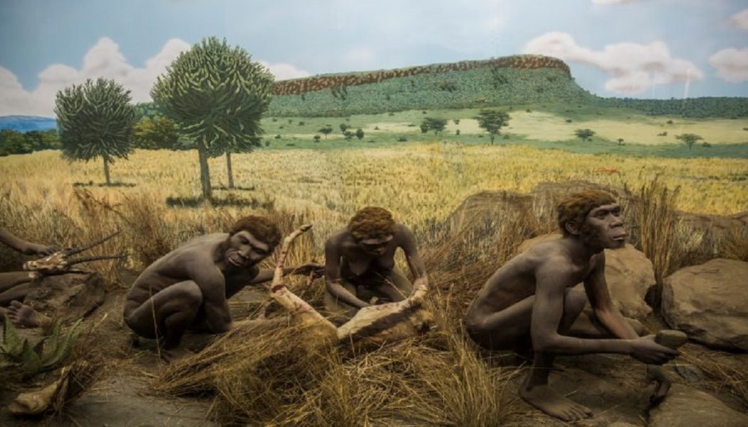 Mysterium der Knochen von Saint Prest: Lebten Menschen bereits vor 2 Millionen Jahren in Europa?