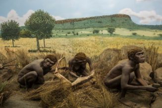 Mysterium der Knochen von Saint Prest: Lebten Menschen bereits vor 2 Millionen Jahren in Europa?