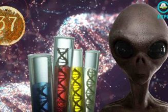 Aliens haben unsere DNA erschaffen und sie mit der Nummer 37 markiert: Sagen kasachische Wissenschaftler