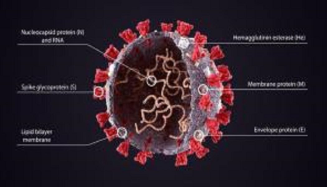 Yale-Epidemiologe: “COVID-19 Impfstoffe beschädigen die Immunantwort”￼