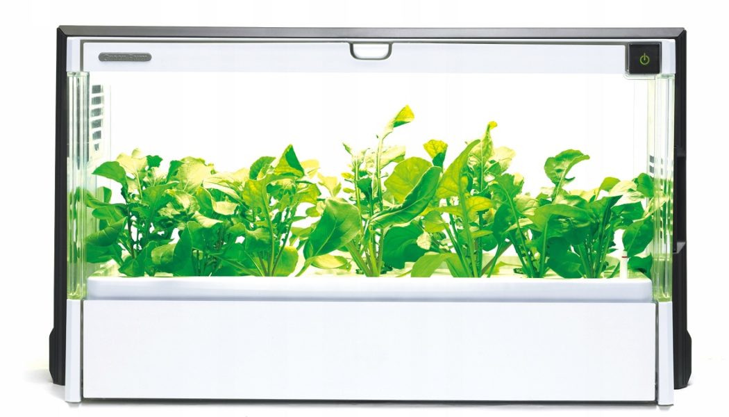 Mit dem Smart Home Garden von LG können Sie das ganze Jahr über Gemüse anbauen