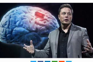 Elon Musks Brain-Chip-Startup steht kurz vor dem Beginn von Versuchen am Menschen