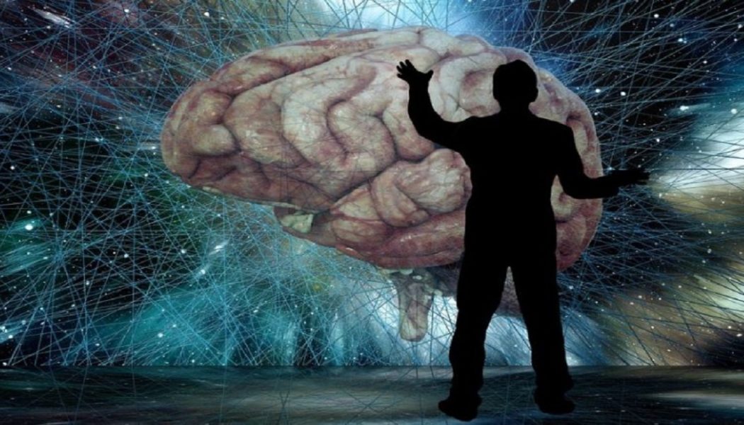Wo Werden Erinnerungen Im Gehirn Gespeichert?