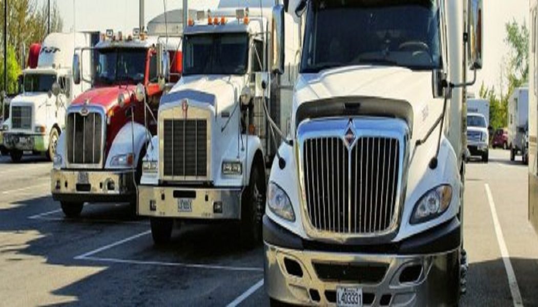 Trucker strömen zum kanadischen Parlament: „Es ist Zeit aufzuwachen, es ist Zeit zu handeln“.
