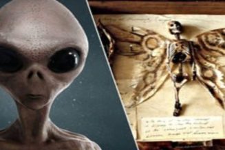 Die Seltsame Verbindung Zwischen Feen, Außerirdischen Und UFOs