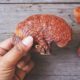 Pilz gegen Krebs: Wirkung von Reishi nicht erwiesen