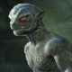 Reptilien-Aliens In Afrika: Afrikanischer Schamane Teilt Verborgene Geschichte