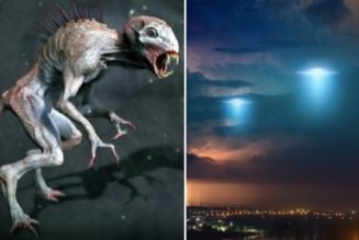UFO Hat Eine Chupacabra-Ähnliche Kreatur In Einem Bolivianischen Dorf Freigelassen