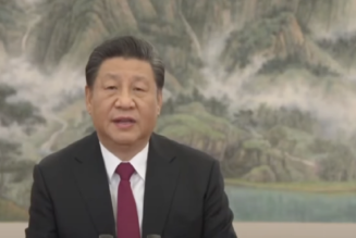 Um zu überleben, muss Xi Jinping seine Führung fortsetzen￼