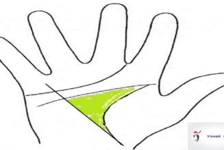 Die Hauptfiguren der Handfläche: ein großes Dreieck, ein kleines Dreieck, Viereck. Was sagt das Dreieck auf der Handfläche?
