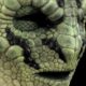Lacerta und die Ursprünge der Menschheit: «Interview mit einem Reptilianer»