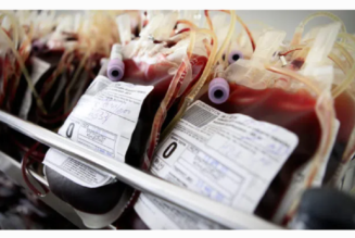 US-Startup-Unternehmen erntet Blut der Jugend, um es an die Reichen zu verkaufen