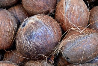 Flüssiges Kokain in 20.000 Kokosnüssen gefunden, die nach Europa verschifft werden￼