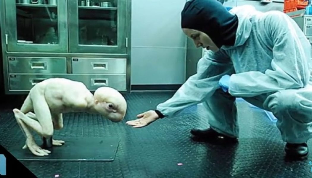 Es gibt sie längst: Mensch-Tier Chimären – Schweinmensch im Labor bereits erzeugt!