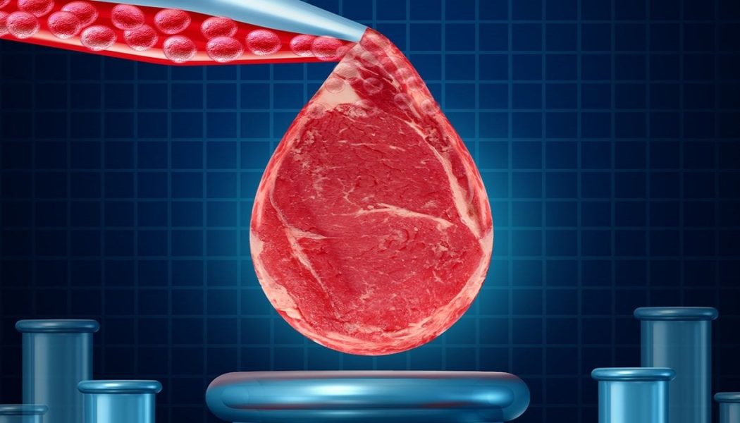 Laborfleisch: Die dunkle Realität hinter der veganen Agenda