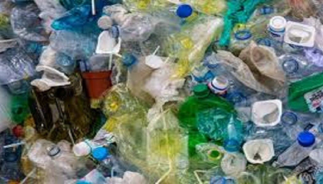 Mutation? Wissenschaftler finden Mikroplastik im menschlichen Blut