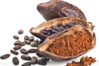 Kakaonibs: Das ultimative Superfood voller Antioxidantien