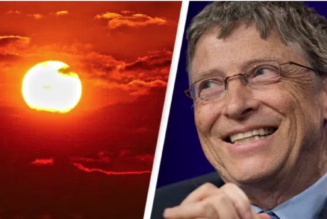 Wie Bill Gates die Kontrolle über die Samenbanken der Welt übernahm und der Natur den Krieg führte