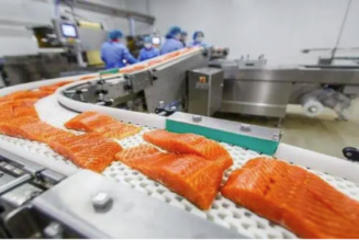 Norwegischer Lachs ist das giftigste Lebensmittel der Welt. Journalistische Recherche